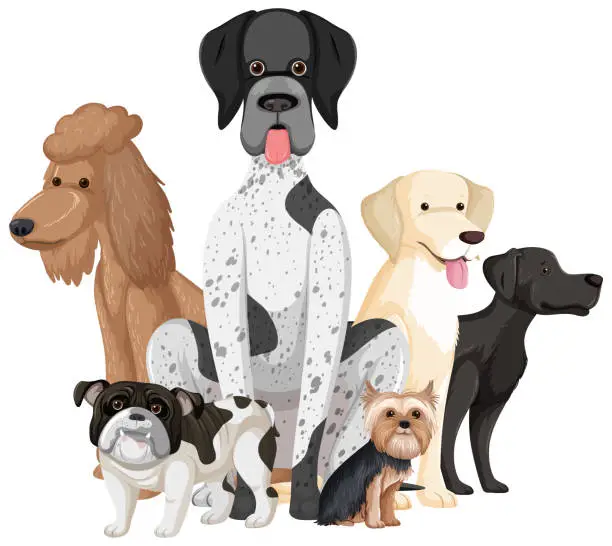 Vector illustration of Set of dog dog breeds cartoon
