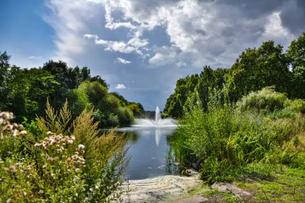 Photo of Beautiful Fountain of St. James's Park on a Summer Day - London, UK