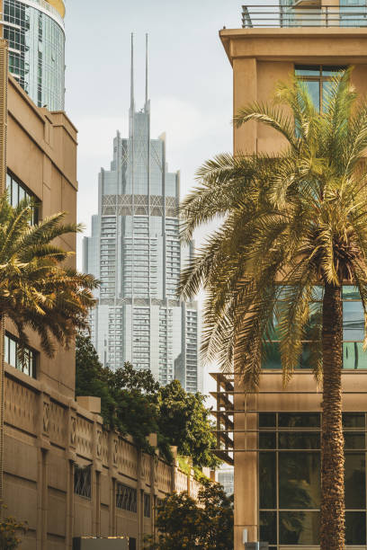istock City Architecture in Downtown Area of Dubai 1491178136