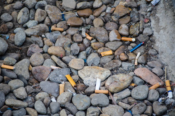 istock Cigarette butts left among the stone on a pavement. 1491182794