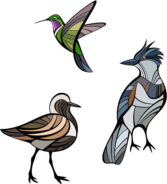 Stylized birds Stylized birds - amethyst-throated sunangel, belted kingfisher and black-bellied plover pics of belted kingfisher stock illustrations
