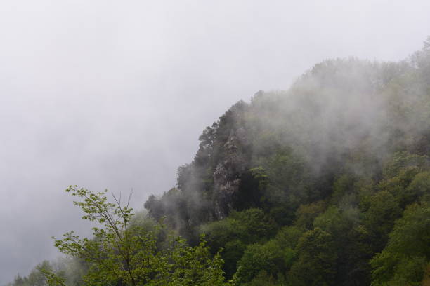 Mountain landscape with fog in Giffoni Valle Piana,Southern Italy. Mountain landscape with fog in Giffoni Valle Piana,Southern Italy,May 15,2023. giffoni valle piana stock pictures, royalty-free photos & images