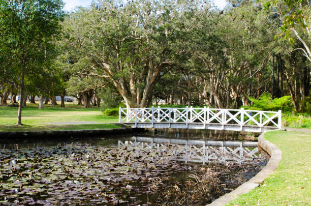 istock White walkway bridge over the lotus pond with forest at the background. 1491187132