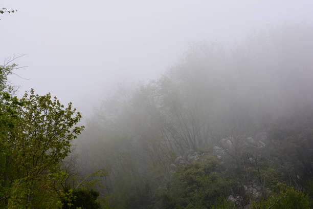 Mountain landscape with fog in Giffoni Valle Piana,Southern Italy. Mountain landscape with fog in Giffoni Valle Piana,Southern Italy,May 15,2023. giffoni valle piana stock pictures, royalty-free photos & images
