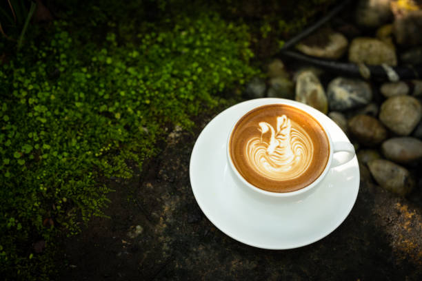istock Coffee cup with leaf on stone in the garden 1491188717