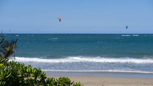 istock Panoramic sea view with kitesurfing sails. people enjoy riding a kitesurfing board on a bright sunny day, by the sea or ocean. Water sports, adrenaline, fun, adventure 1491189262