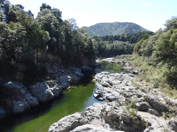 istock New Zealand 1491193359