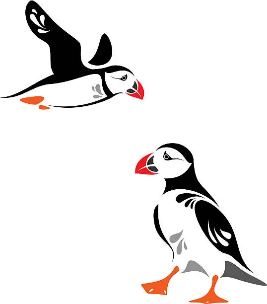 Vector illustration of Two cartoon puffins, one standing and one flying