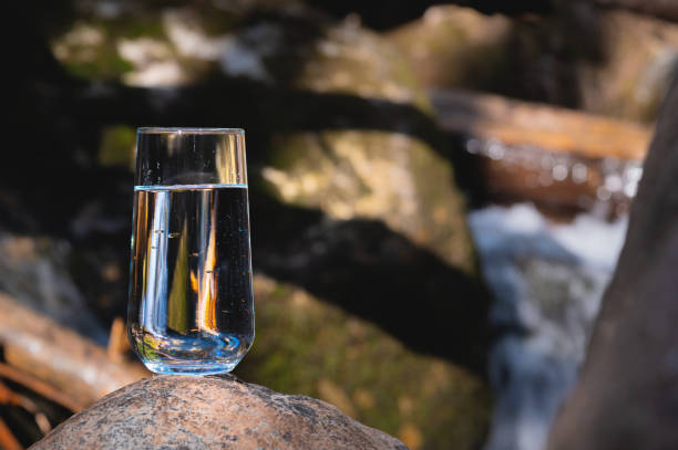istock glass rounded tall glass with drinking clear water stands on a stone in the forest, a fast mountain river rages in the background, a blurred background 1491202509
