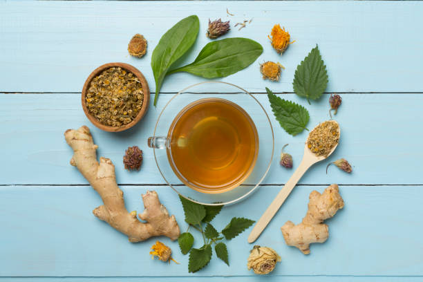 istock Herbal tea with ingredients on wooden background, top view 1491207065