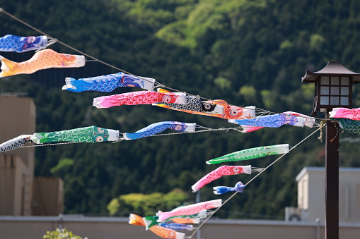 koinobori flown in the sky during children's day in japan