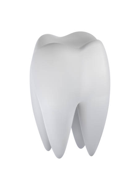 istock 3d tooth realistic vector isolated illustration. Dental care, enamel whitening, clean teeth protection, oral health poster element. 1491209394