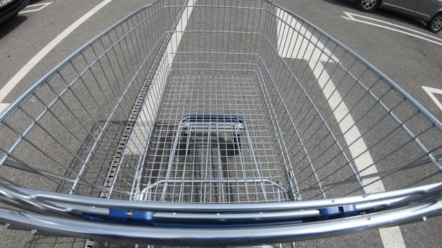Pushing shopping cart