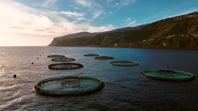 Aquaculture Fish Farm Used to Hold Fish for Consumption