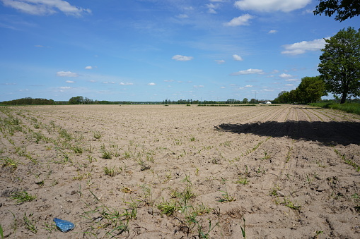 Empty field. Landscape of field prepared for agriculture. Field for agriculture.