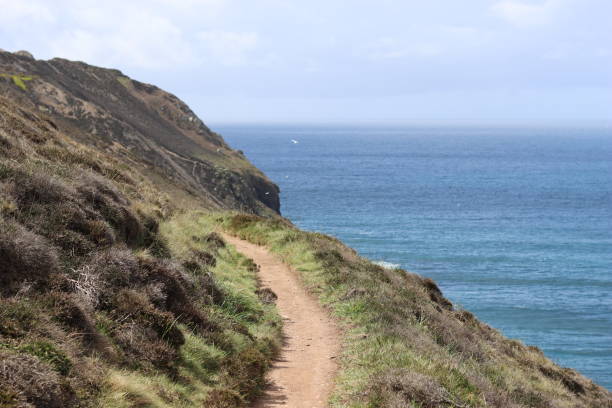 istock Coastal path winding along a cliff with stunning sea views in sunshine 1491242115