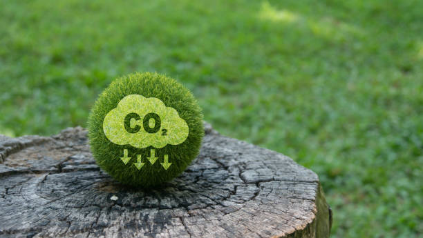 istock Lower CO2 emissions to limit global warming and climate change. Clean and friendly environment without carbon dioxide emissions. 1491244982