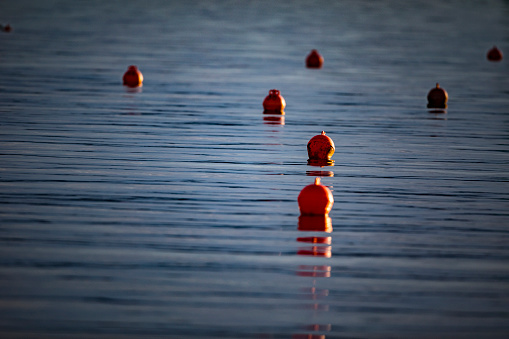 Red Buoys on Sea.