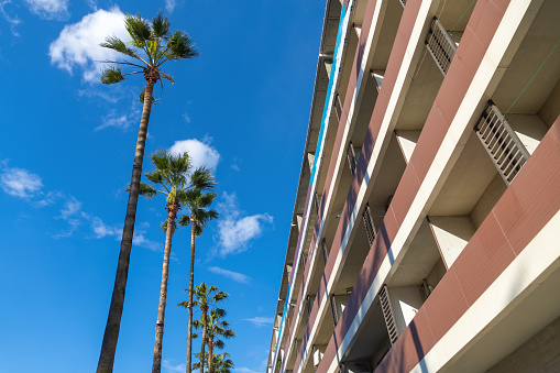 Bottom view of palm trees and concrete balconies against a blue sky with clouds on a sunny day