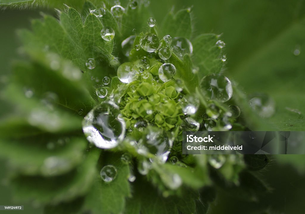 Tropfen - Lizenzfrei Abstrakt Stock-Foto