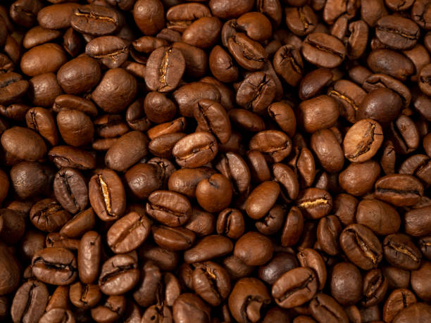 istock Background from roasted coffee beans. Scattered coffee beans. 1491250643