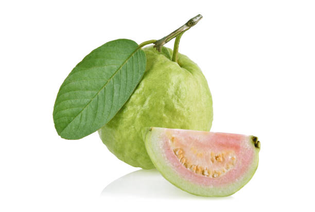 istock Fresh guava isolated on white background 1491252953