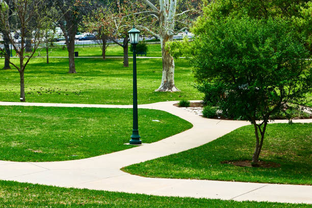 istock Scenic view of park with walking path 1491257763