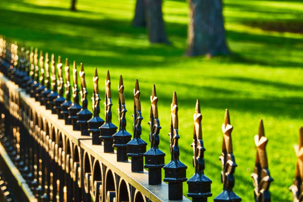 istock Scenic view of park 1491257789