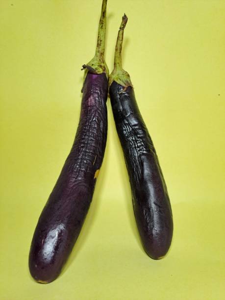 istock Two fresh purple eggplants with a yellow background 1491260478