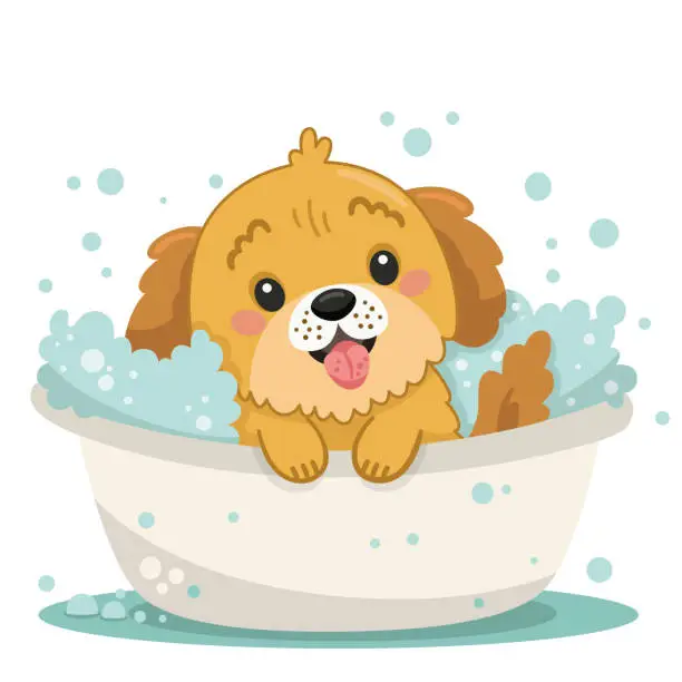 Vector illustration of Bath Dog