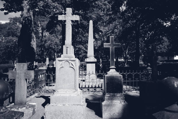 istock Old nameless graves at cementery during day 1491265771