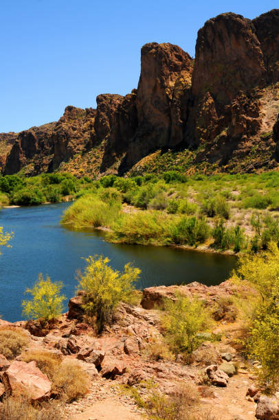 istock Salt River Recreation Area Arizona 1491269950