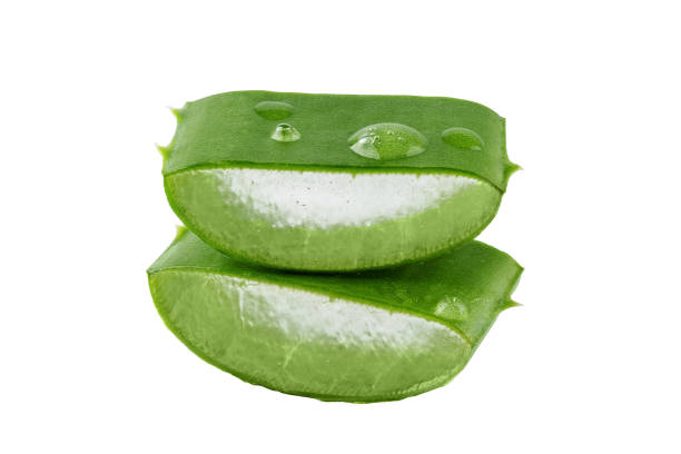 istock Fresh Aloe vera slice with aloe vera gel drops isolated on white background. 1491273702