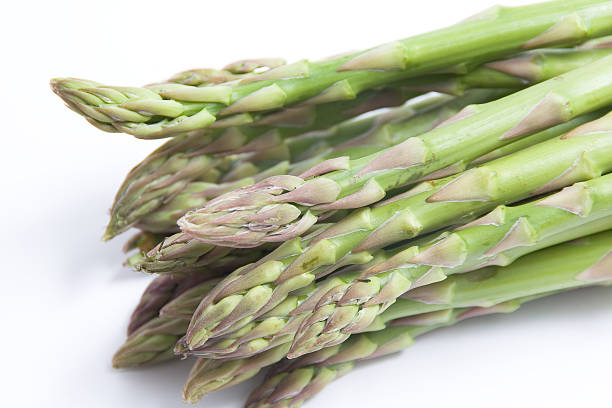 Asparagus stock photo