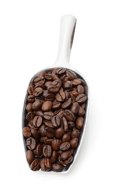 istock coffee beans in metal scoop 149127819