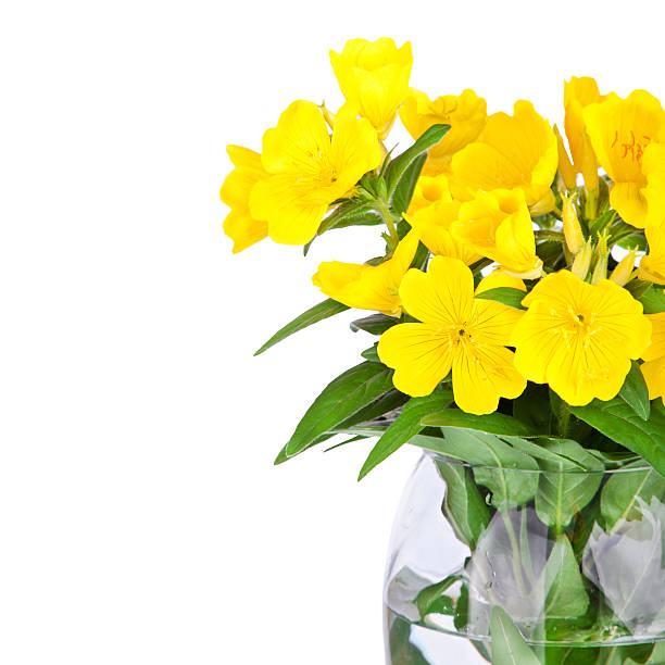 istock vase with beautiful yellow flowers isolated 149127827