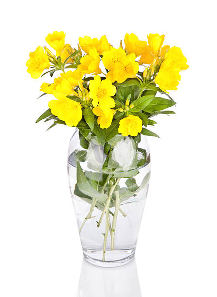 istock vase with beautiful yellow flowers isolated 149127945