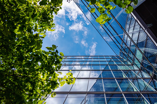 View into the blue sky on a sunny day. the facades of office buildings and trees forming a triangular frame