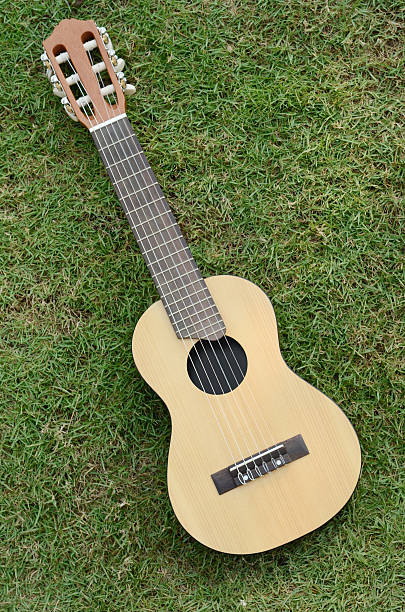istock "Guitar LeLe" on green grass 149128121