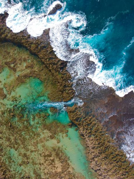 istock Sharks cove Hawaii 1491287255
