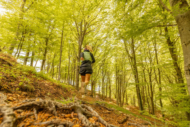 istock Young woman trail run through a forest 1491290241