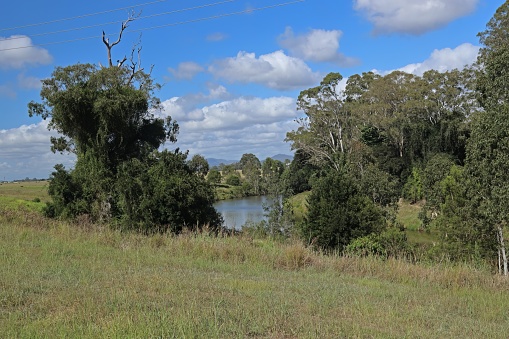 view along river

Logan River, Queensland, Australia.         March