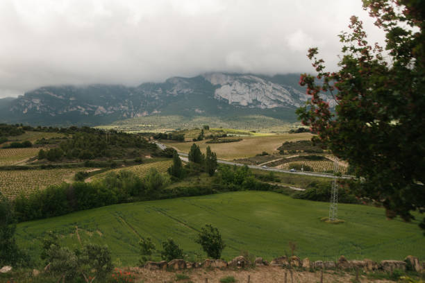 Beautiful landscape with mountains in Rioja Alavesa area. Basque Country, Spain.