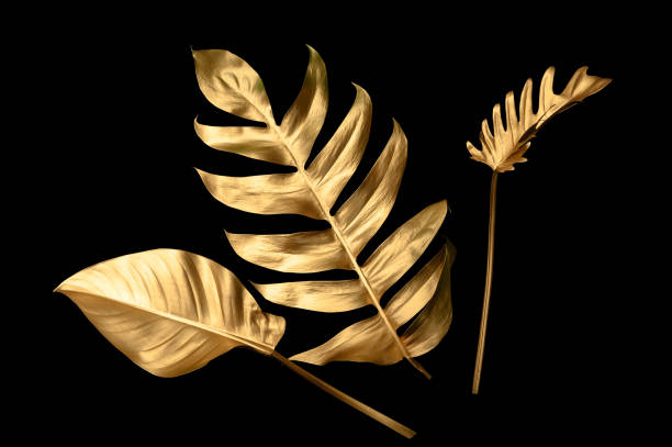 istock Tropical leaves gold and black, can be used as background(Monstera,palm,coconut)fern,clipping path 1491295491