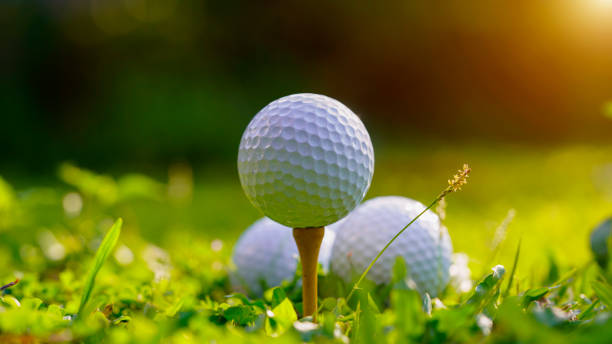 istock Golf ball on green grass in the evening golf course with sunshine background. 1491296105