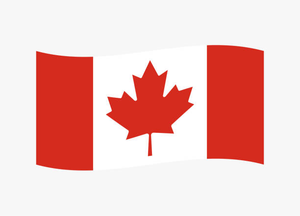 ilustraciones, imágenes clip art, dibujos animados e iconos de stock de canadá ondeando bandera. vector - flag canadian flag patriotism national flag