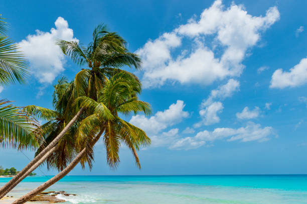 White Sand Beach with Blue Sky and Clouds