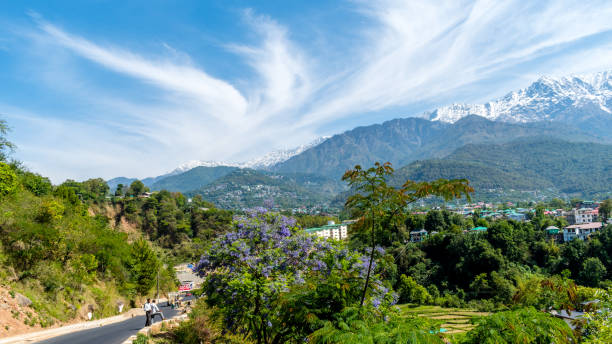 vue aérienne de dharamshala de l’himachal pradesh entouré de forêts de cèdres et de la chaîne de montagnes dhauladhar - himachal photos et images de collection