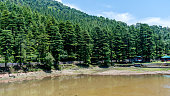 Dal Lake, Tota Rani, Mcleodganj, Dharamshala