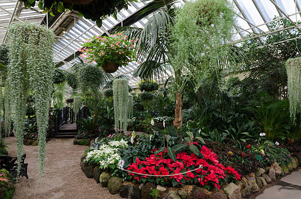 istock Green house, wide angle shot 149130217